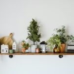 A simple shelf with potted plants in a lived-in home space