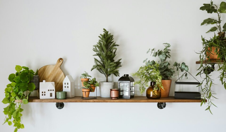 A simple shelf with potted plants in a lived-in home space