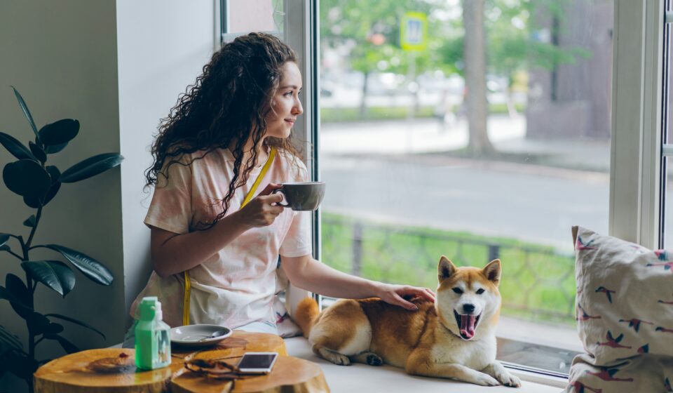 Woman sitting on a window sill next to her dog, taking a calm and quiet moment at home in natural light.