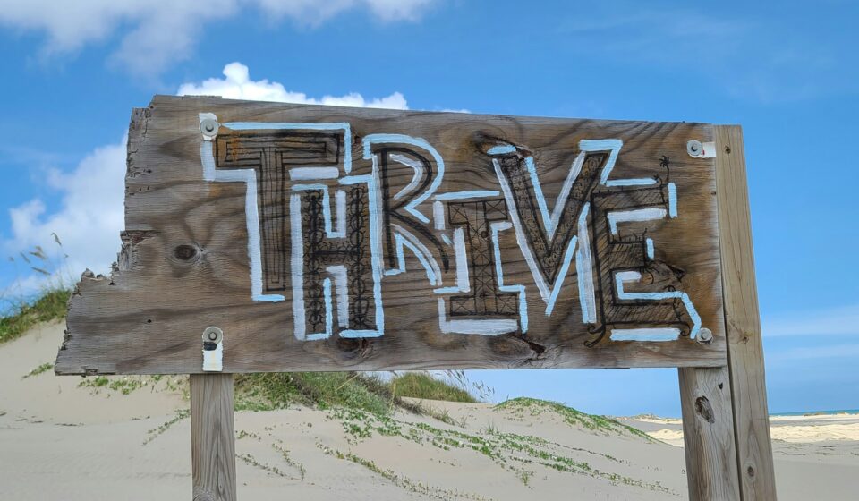 Wooden sign on a quiet beach with the word thrive written on it